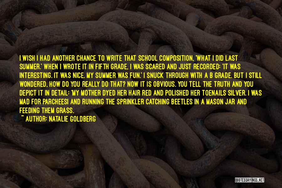 Natalie Goldberg Quotes: I Wish I Had Another Chance To Write That School Composition, 'what I Did Last Summer.' When I Wrote It