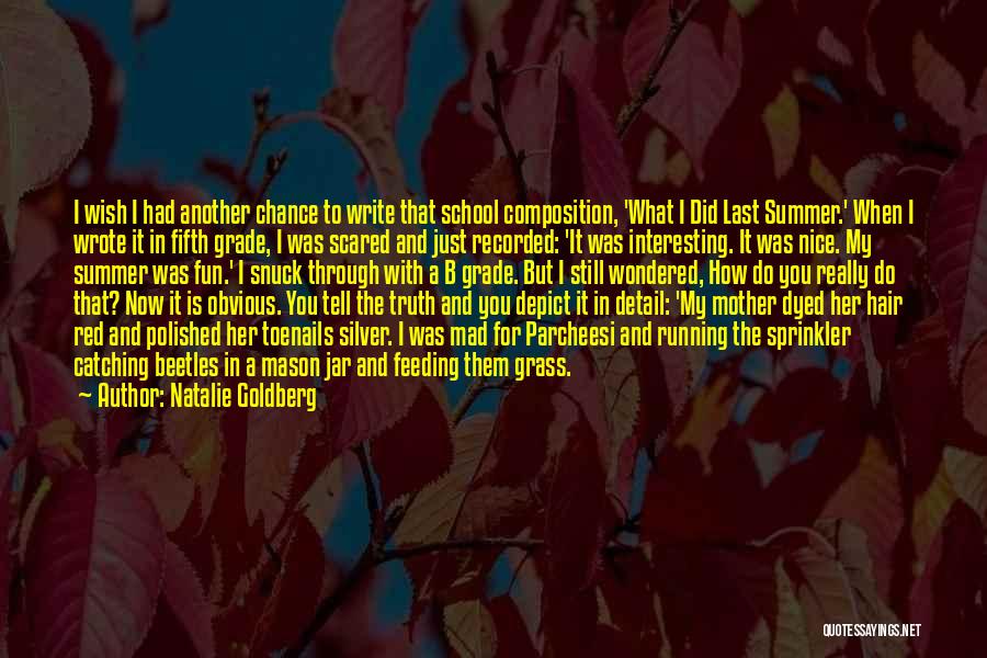 Natalie Goldberg Quotes: I Wish I Had Another Chance To Write That School Composition, 'what I Did Last Summer.' When I Wrote It