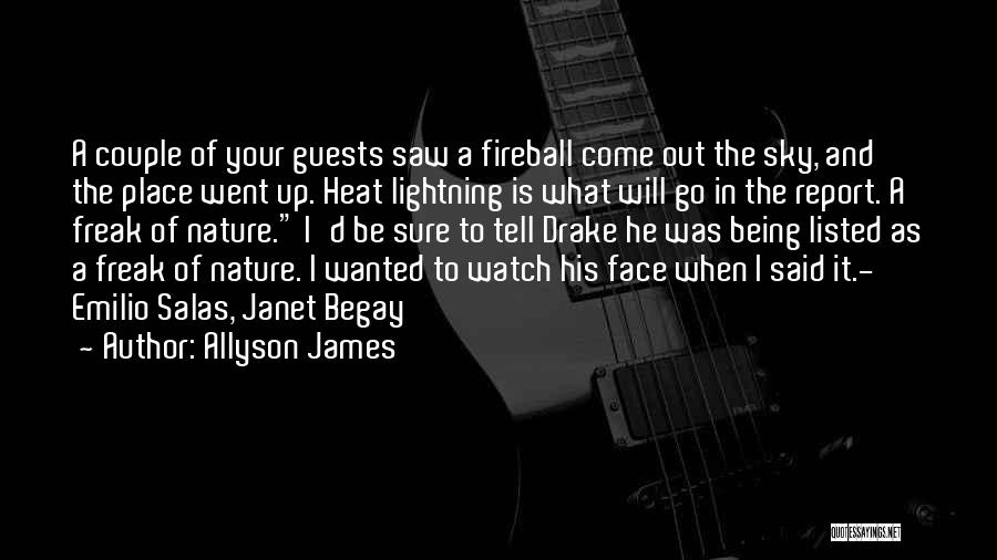 Allyson James Quotes: A Couple Of Your Guests Saw A Fireball Come Out The Sky, And The Place Went Up. Heat Lightning Is