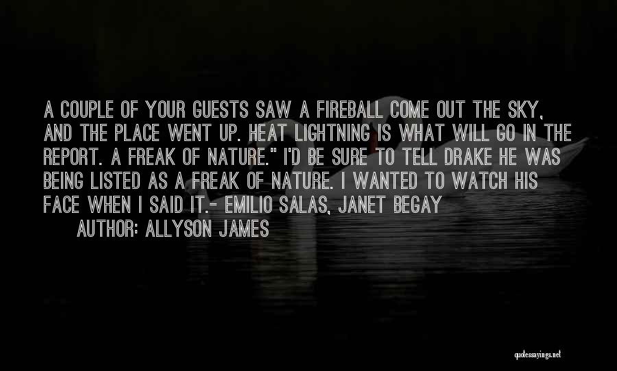 Allyson James Quotes: A Couple Of Your Guests Saw A Fireball Come Out The Sky, And The Place Went Up. Heat Lightning Is