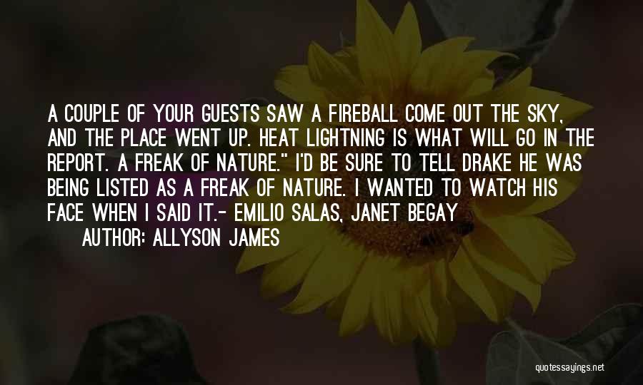 Allyson James Quotes: A Couple Of Your Guests Saw A Fireball Come Out The Sky, And The Place Went Up. Heat Lightning Is