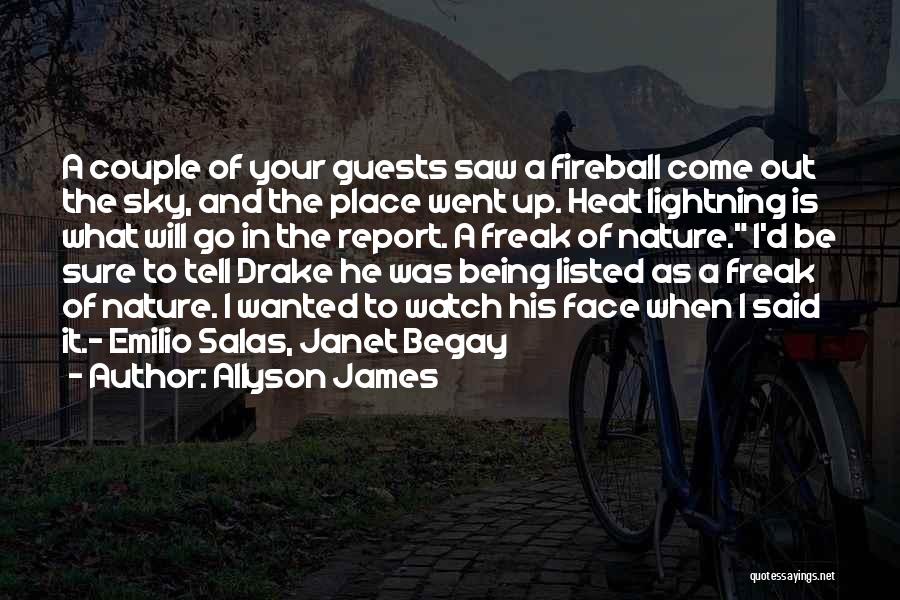 Allyson James Quotes: A Couple Of Your Guests Saw A Fireball Come Out The Sky, And The Place Went Up. Heat Lightning Is