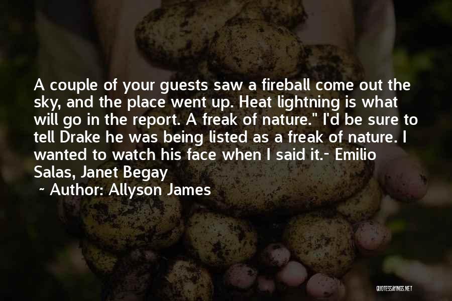 Allyson James Quotes: A Couple Of Your Guests Saw A Fireball Come Out The Sky, And The Place Went Up. Heat Lightning Is