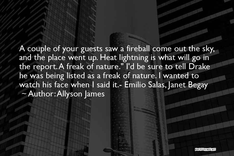 Allyson James Quotes: A Couple Of Your Guests Saw A Fireball Come Out The Sky, And The Place Went Up. Heat Lightning Is