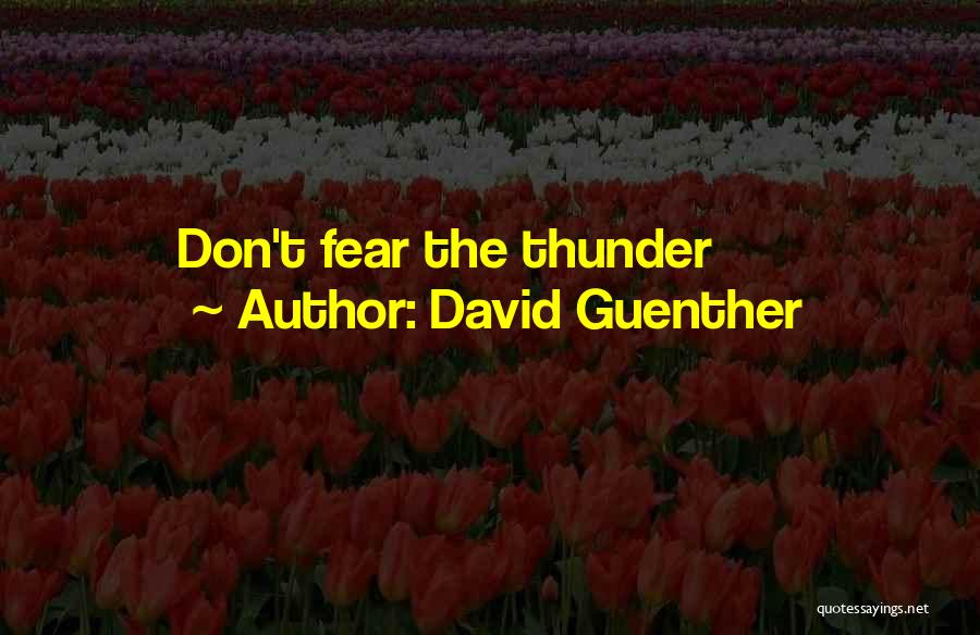 David Guenther Quotes: Don't Fear The Thunder
