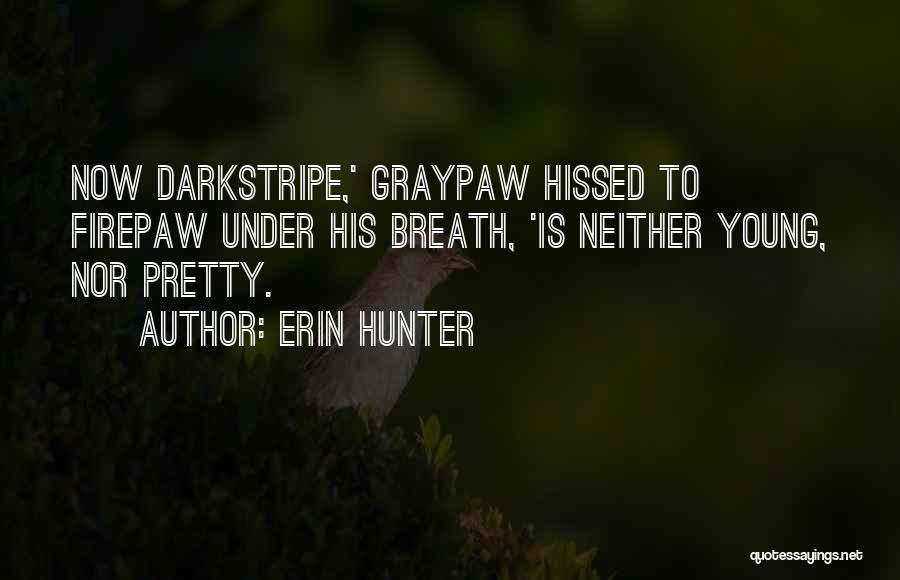 Erin Hunter Quotes: Now Darkstripe,' Graypaw Hissed To Firepaw Under His Breath, 'is Neither Young, Nor Pretty.