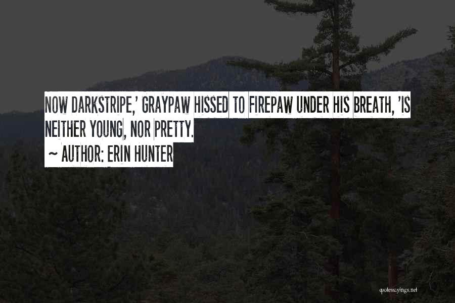Erin Hunter Quotes: Now Darkstripe,' Graypaw Hissed To Firepaw Under His Breath, 'is Neither Young, Nor Pretty.