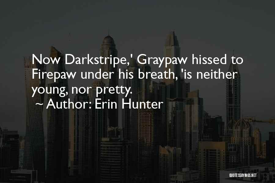 Erin Hunter Quotes: Now Darkstripe,' Graypaw Hissed To Firepaw Under His Breath, 'is Neither Young, Nor Pretty.