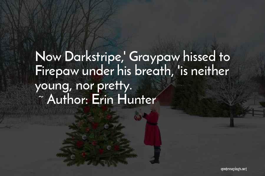 Erin Hunter Quotes: Now Darkstripe,' Graypaw Hissed To Firepaw Under His Breath, 'is Neither Young, Nor Pretty.