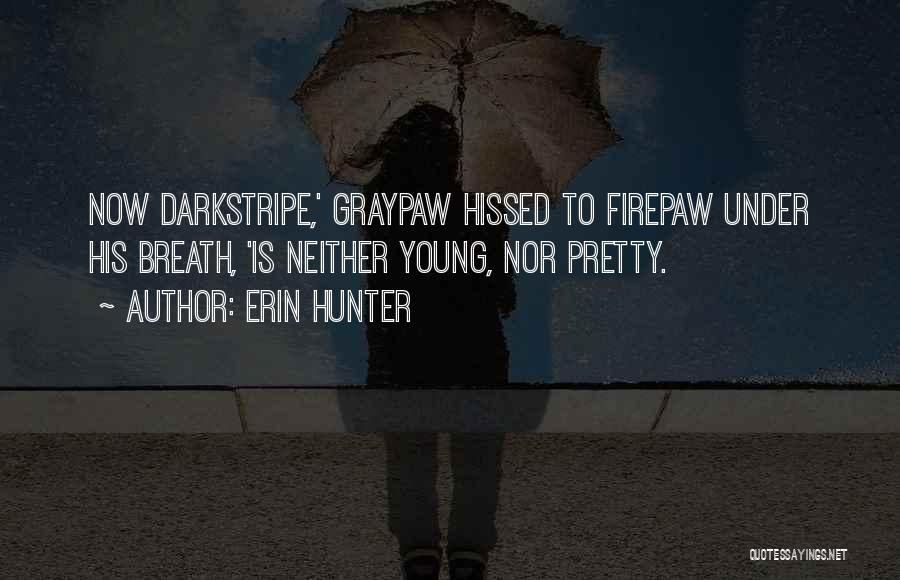 Erin Hunter Quotes: Now Darkstripe,' Graypaw Hissed To Firepaw Under His Breath, 'is Neither Young, Nor Pretty.