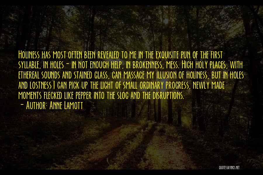 Anne Lamott Quotes: Holiness Has Most Often Been Revealed To Me In The Exquisite Pun Of The First Syllable, In Holes- In Not