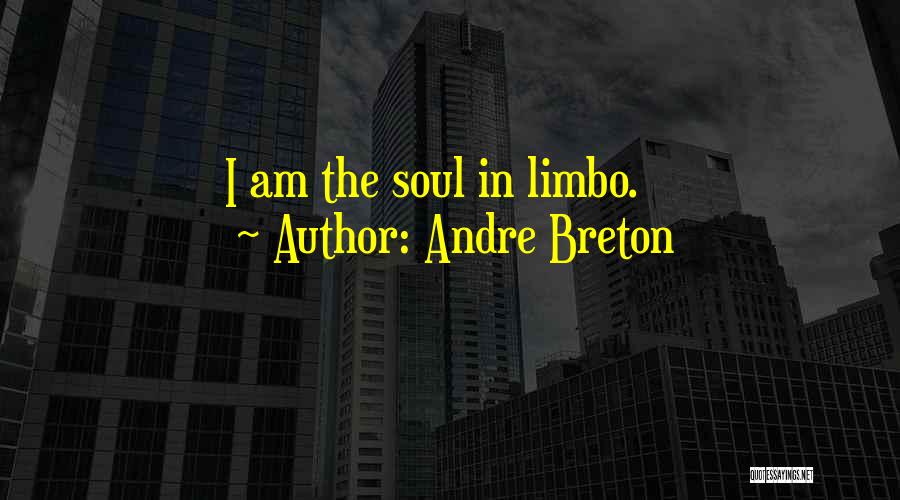 Andre Breton Quotes: I Am The Soul In Limbo.