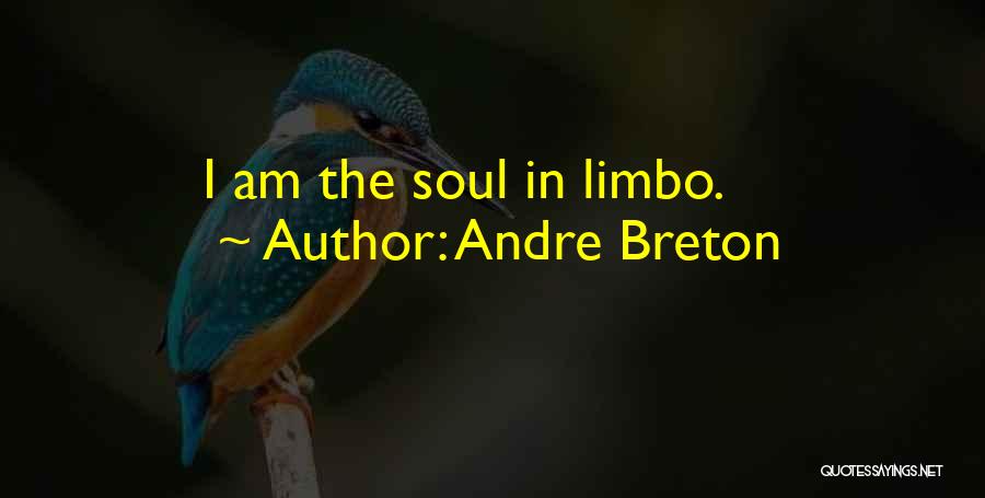 Andre Breton Quotes: I Am The Soul In Limbo.