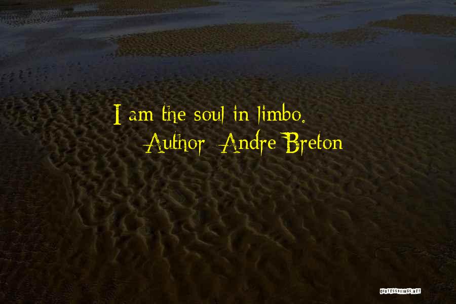 Andre Breton Quotes: I Am The Soul In Limbo.