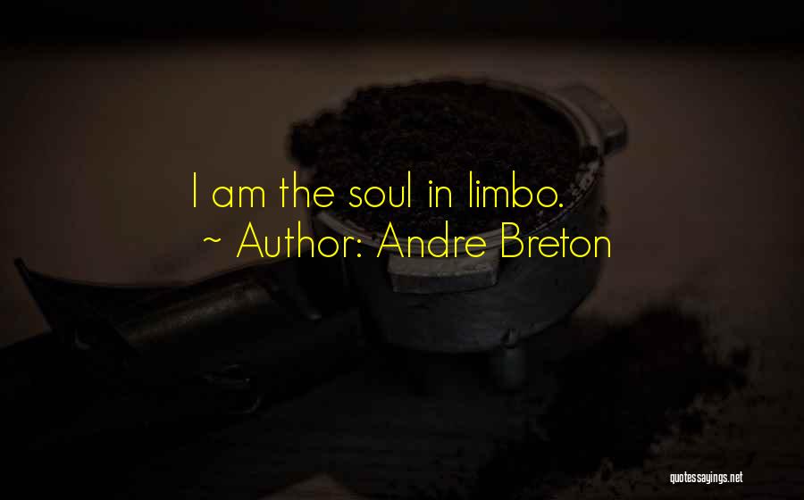 Andre Breton Quotes: I Am The Soul In Limbo.