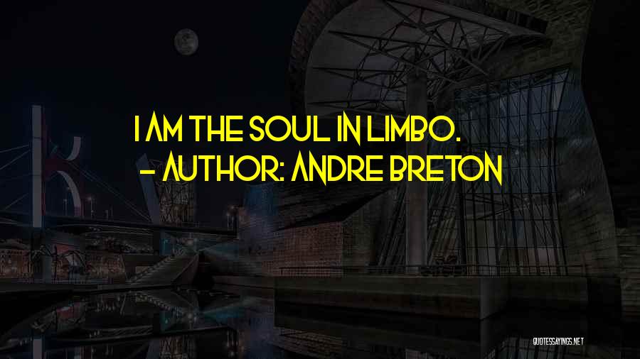 Andre Breton Quotes: I Am The Soul In Limbo.