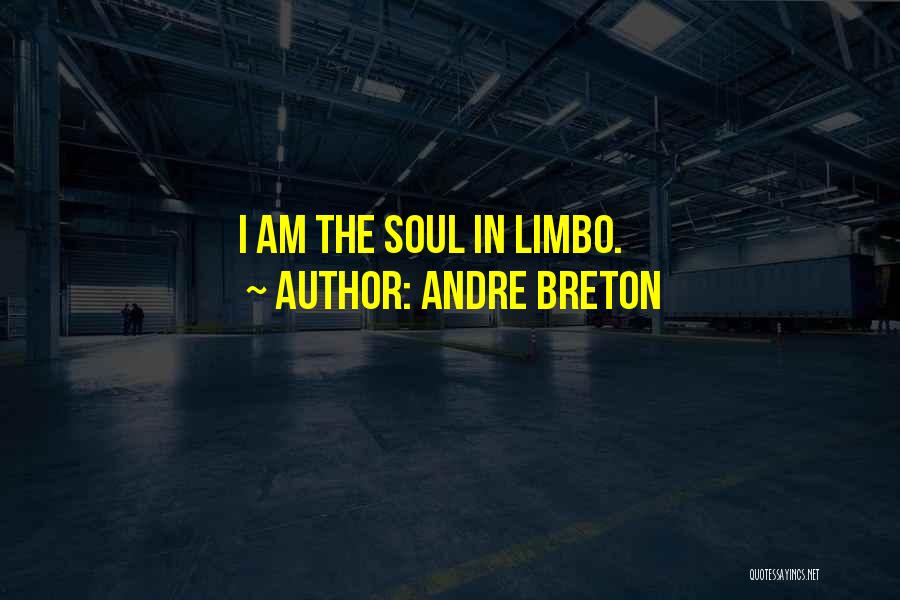 Andre Breton Quotes: I Am The Soul In Limbo.