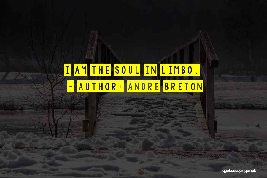 Andre Breton Quotes: I Am The Soul In Limbo.