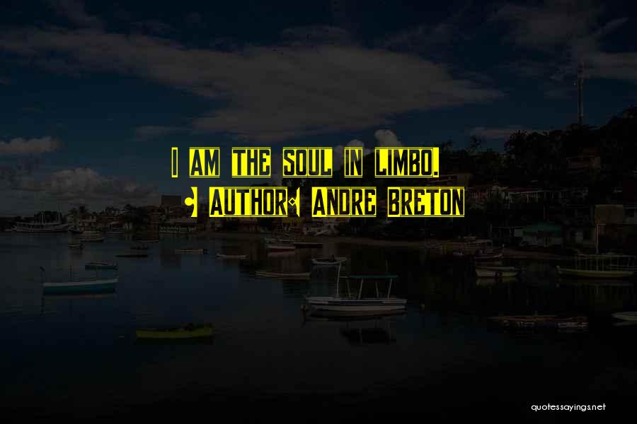 Andre Breton Quotes: I Am The Soul In Limbo.