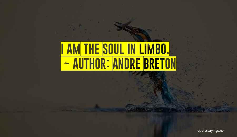 Andre Breton Quotes: I Am The Soul In Limbo.