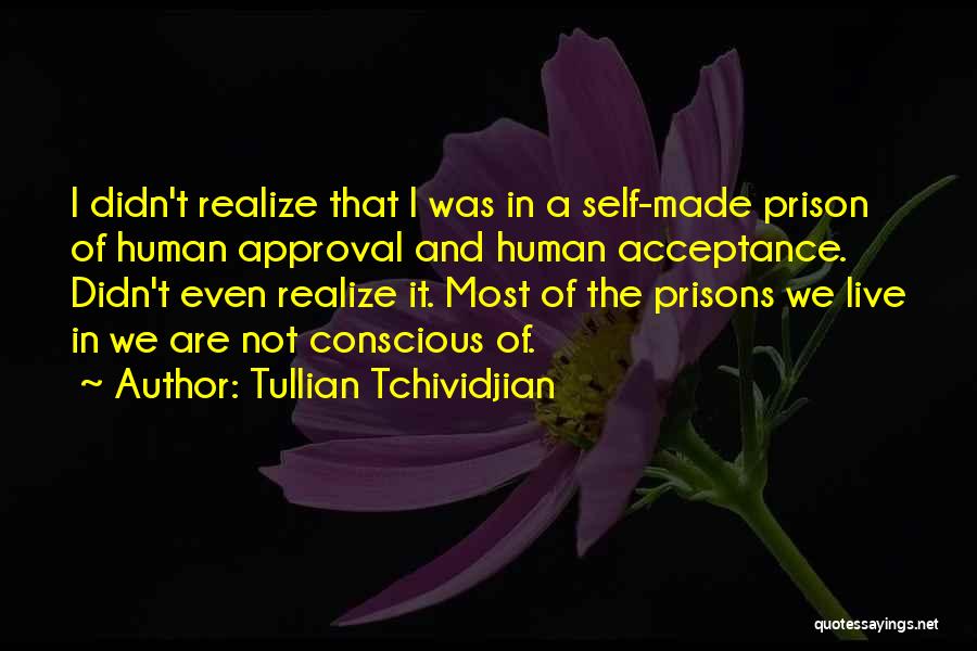 Tullian Tchividjian Quotes: I Didn't Realize That I Was In A Self-made Prison Of Human Approval And Human Acceptance. Didn't Even Realize It.