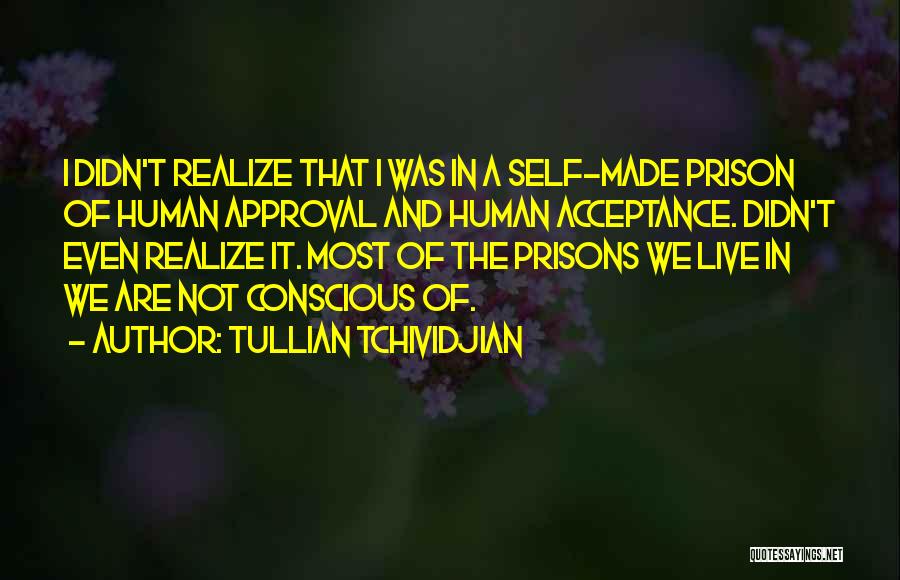 Tullian Tchividjian Quotes: I Didn't Realize That I Was In A Self-made Prison Of Human Approval And Human Acceptance. Didn't Even Realize It.