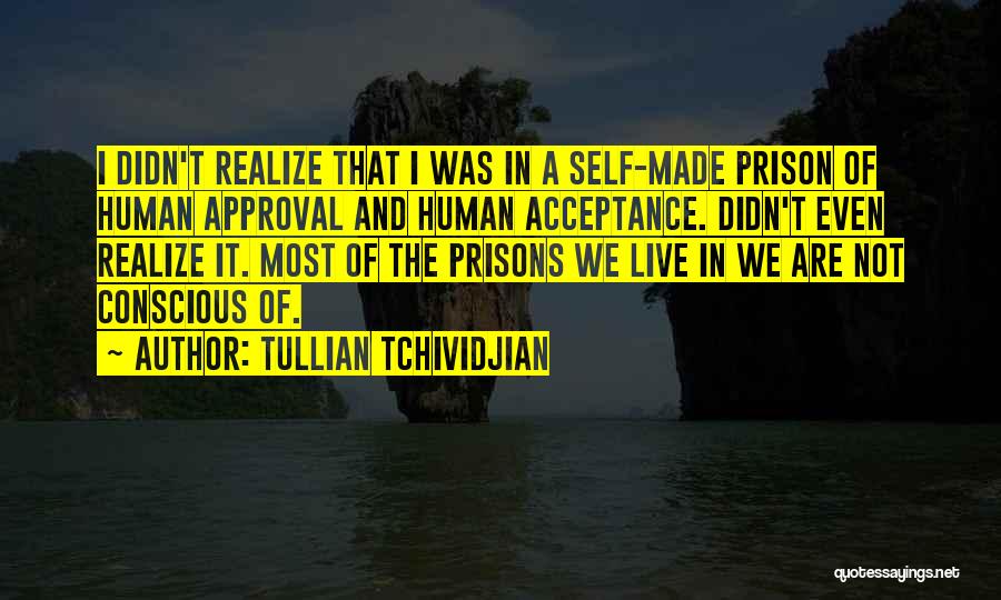 Tullian Tchividjian Quotes: I Didn't Realize That I Was In A Self-made Prison Of Human Approval And Human Acceptance. Didn't Even Realize It.