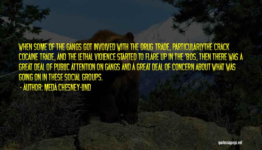 Meda Chesney-Lind Quotes: When Some Of The Gangs Got Involved With The Drug Trade, Particularlythe Crack Cocaine Trade, And The Lethal Violence Started