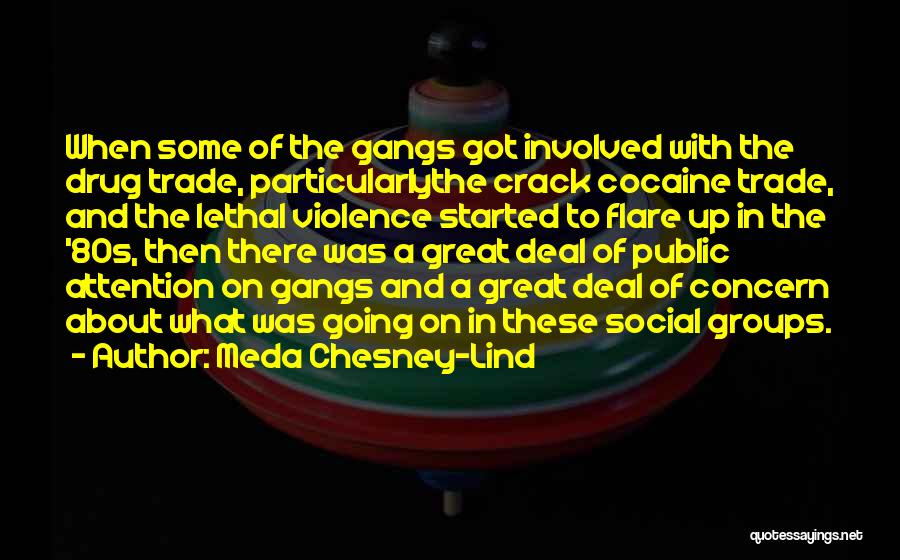 Meda Chesney-Lind Quotes: When Some Of The Gangs Got Involved With The Drug Trade, Particularlythe Crack Cocaine Trade, And The Lethal Violence Started