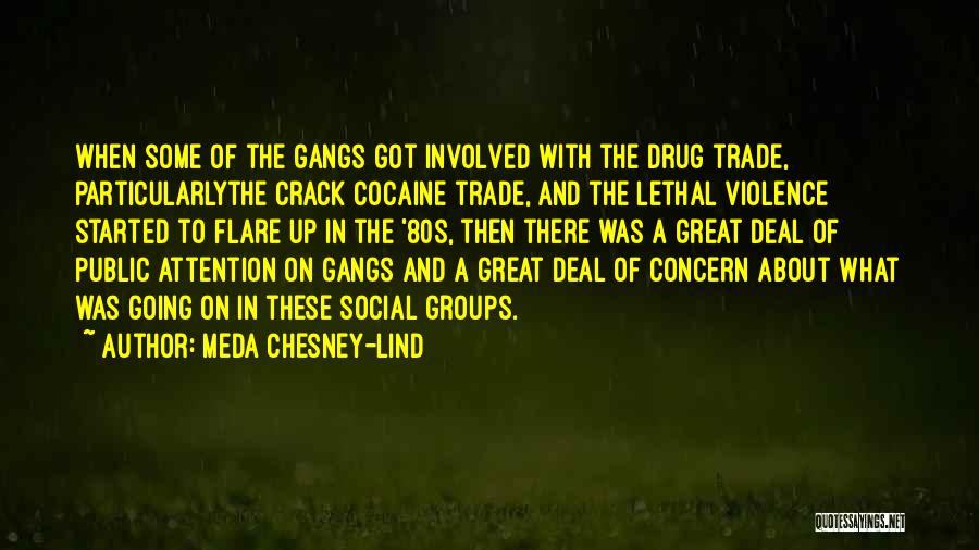 Meda Chesney-Lind Quotes: When Some Of The Gangs Got Involved With The Drug Trade, Particularlythe Crack Cocaine Trade, And The Lethal Violence Started