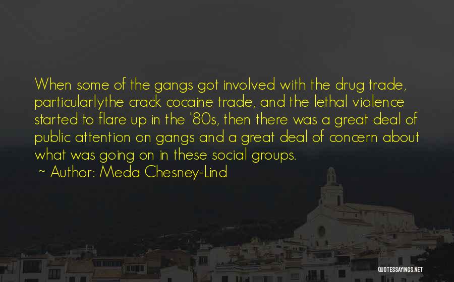 Meda Chesney-Lind Quotes: When Some Of The Gangs Got Involved With The Drug Trade, Particularlythe Crack Cocaine Trade, And The Lethal Violence Started