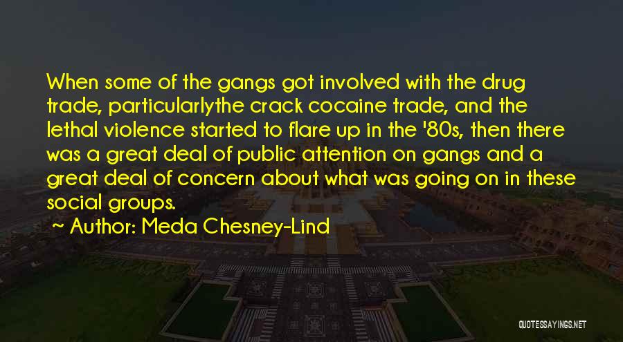 Meda Chesney-Lind Quotes: When Some Of The Gangs Got Involved With The Drug Trade, Particularlythe Crack Cocaine Trade, And The Lethal Violence Started