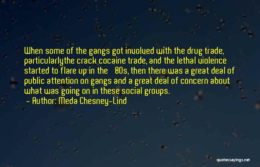 Meda Chesney-Lind Quotes: When Some Of The Gangs Got Involved With The Drug Trade, Particularlythe Crack Cocaine Trade, And The Lethal Violence Started