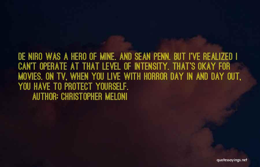 Christopher Meloni Quotes: De Niro Was A Hero Of Mine. And Sean Penn. But I've Realized I Can't Operate At That Level Of