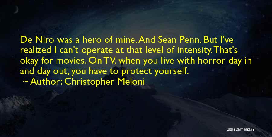 Christopher Meloni Quotes: De Niro Was A Hero Of Mine. And Sean Penn. But I've Realized I Can't Operate At That Level Of