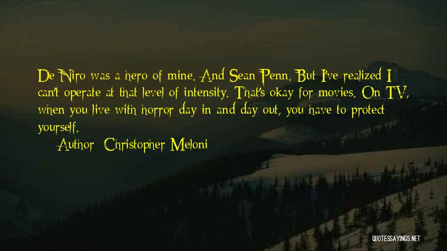 Christopher Meloni Quotes: De Niro Was A Hero Of Mine. And Sean Penn. But I've Realized I Can't Operate At That Level Of