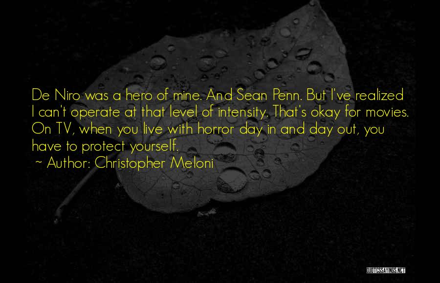 Christopher Meloni Quotes: De Niro Was A Hero Of Mine. And Sean Penn. But I've Realized I Can't Operate At That Level Of