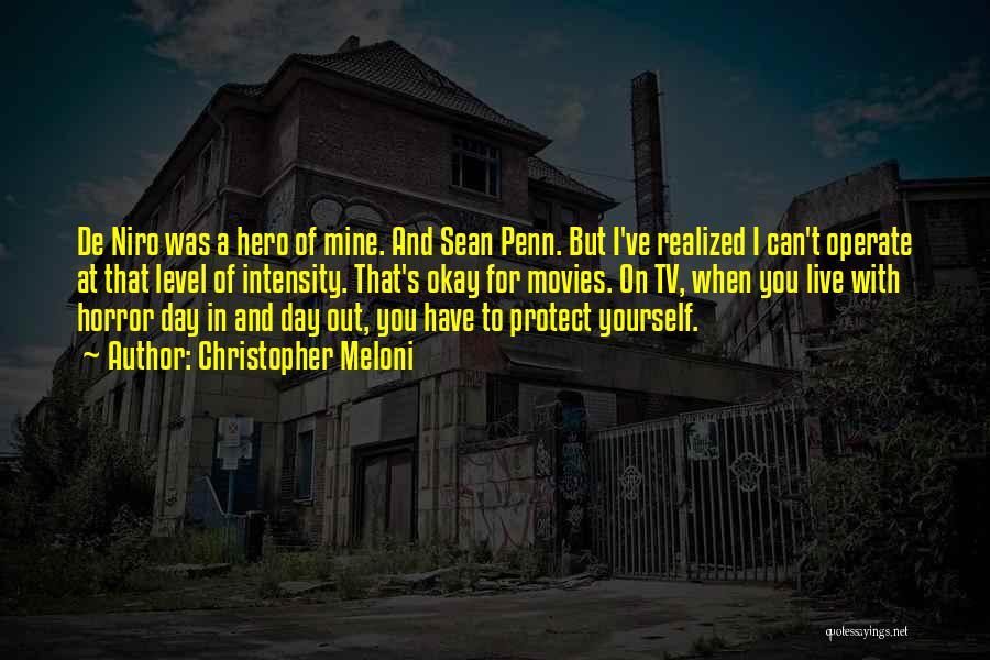 Christopher Meloni Quotes: De Niro Was A Hero Of Mine. And Sean Penn. But I've Realized I Can't Operate At That Level Of