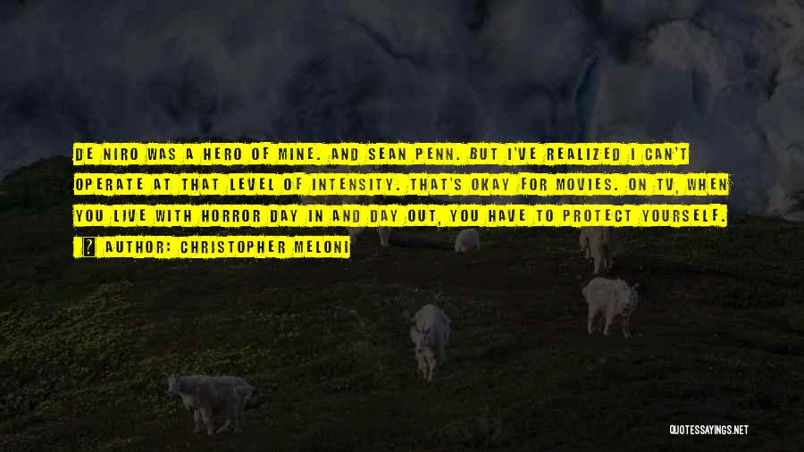 Christopher Meloni Quotes: De Niro Was A Hero Of Mine. And Sean Penn. But I've Realized I Can't Operate At That Level Of