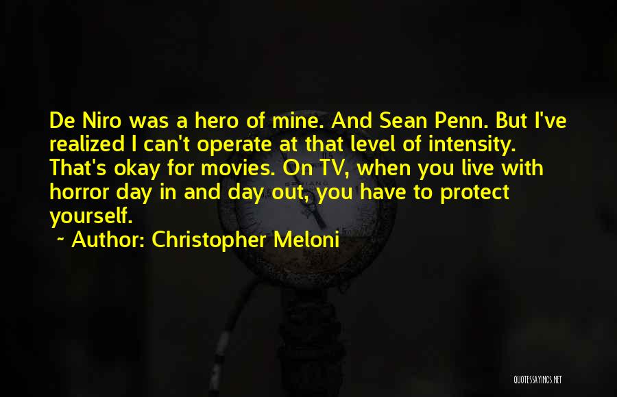 Christopher Meloni Quotes: De Niro Was A Hero Of Mine. And Sean Penn. But I've Realized I Can't Operate At That Level Of