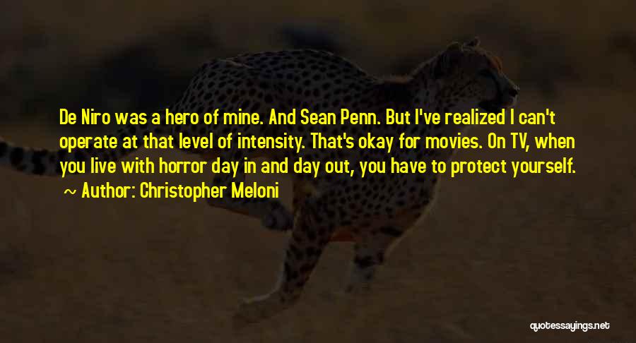 Christopher Meloni Quotes: De Niro Was A Hero Of Mine. And Sean Penn. But I've Realized I Can't Operate At That Level Of