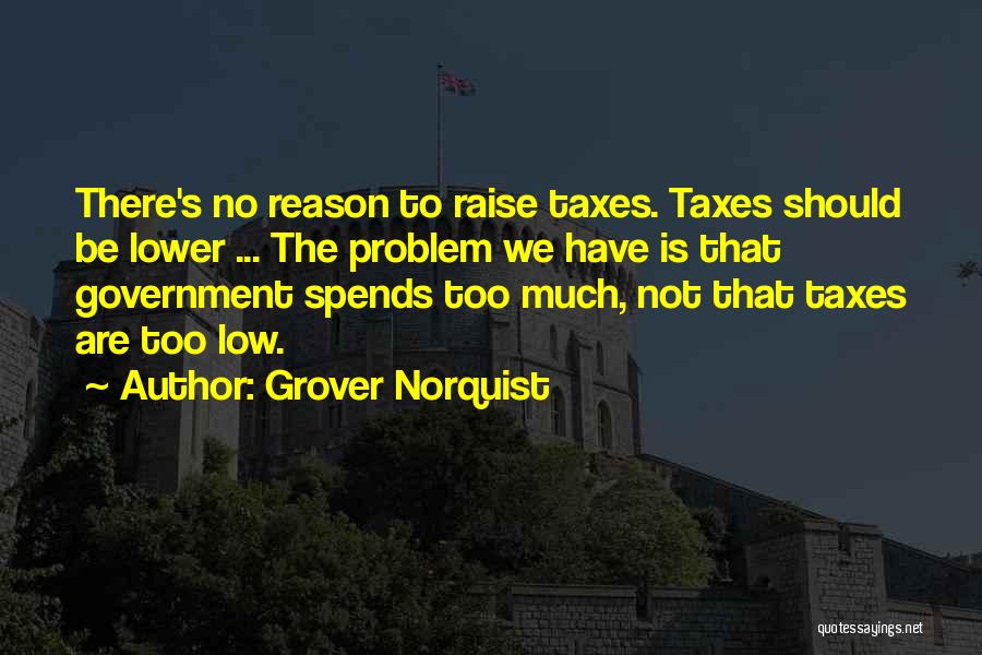 Grover Norquist Quotes: There's No Reason To Raise Taxes. Taxes Should Be Lower ... The Problem We Have Is That Government Spends Too