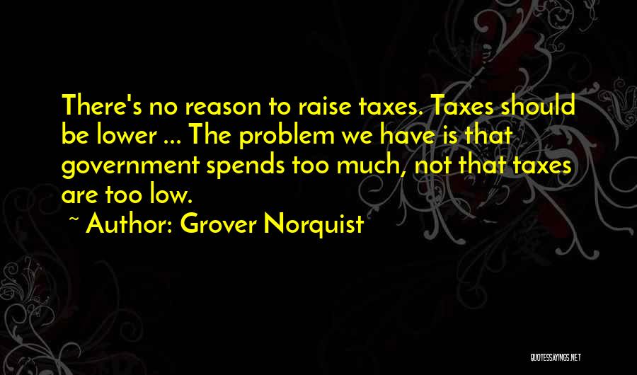 Grover Norquist Quotes: There's No Reason To Raise Taxes. Taxes Should Be Lower ... The Problem We Have Is That Government Spends Too