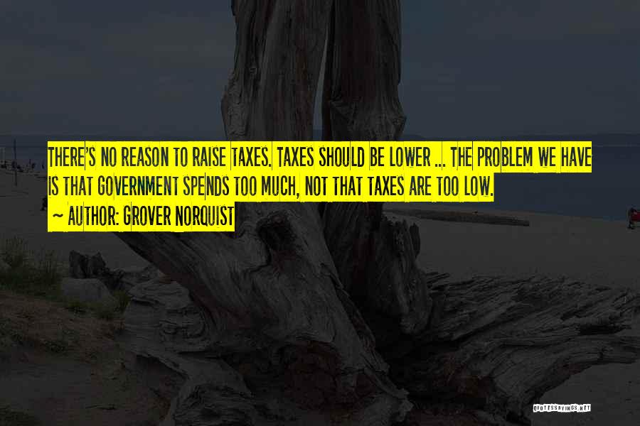 Grover Norquist Quotes: There's No Reason To Raise Taxes. Taxes Should Be Lower ... The Problem We Have Is That Government Spends Too