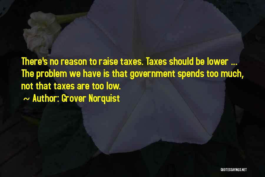 Grover Norquist Quotes: There's No Reason To Raise Taxes. Taxes Should Be Lower ... The Problem We Have Is That Government Spends Too