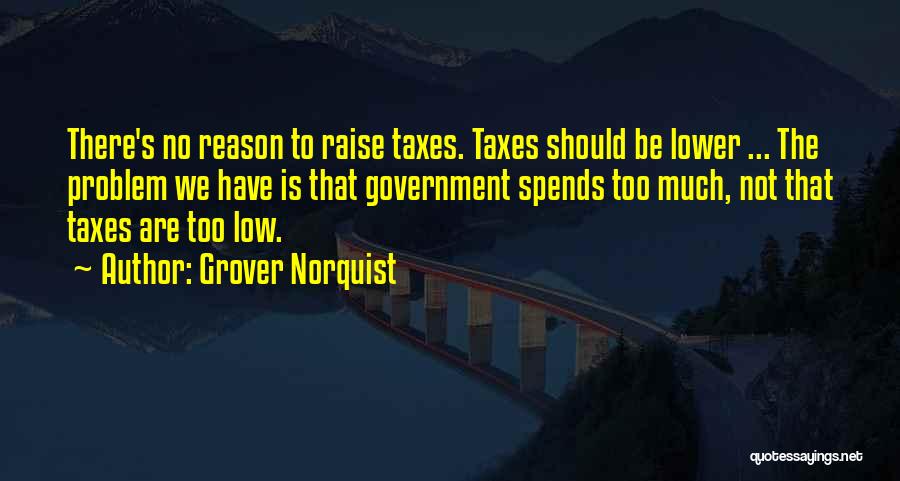 Grover Norquist Quotes: There's No Reason To Raise Taxes. Taxes Should Be Lower ... The Problem We Have Is That Government Spends Too
