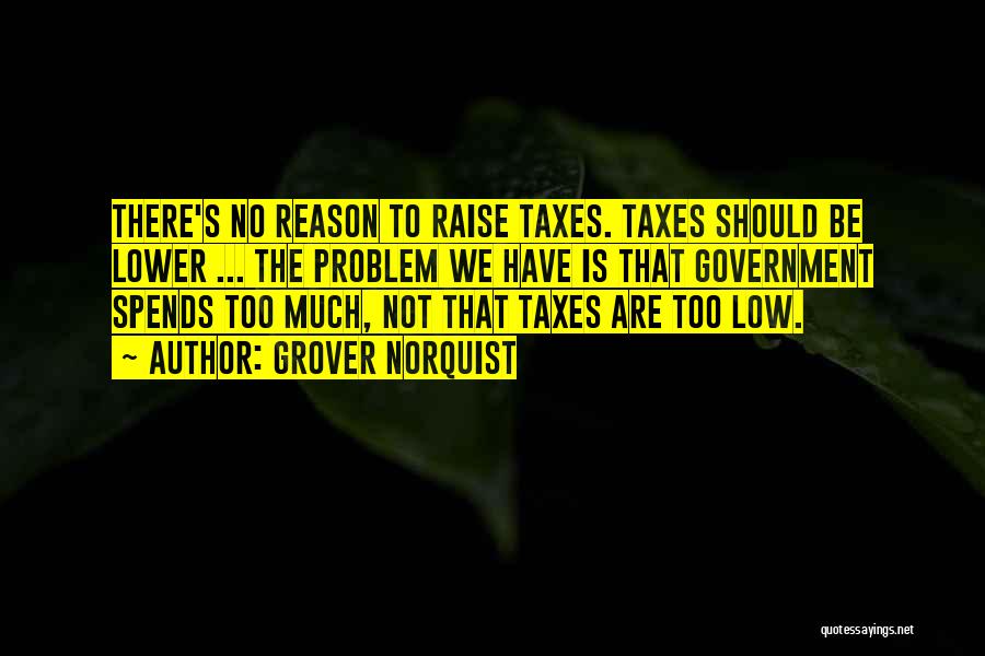 Grover Norquist Quotes: There's No Reason To Raise Taxes. Taxes Should Be Lower ... The Problem We Have Is That Government Spends Too