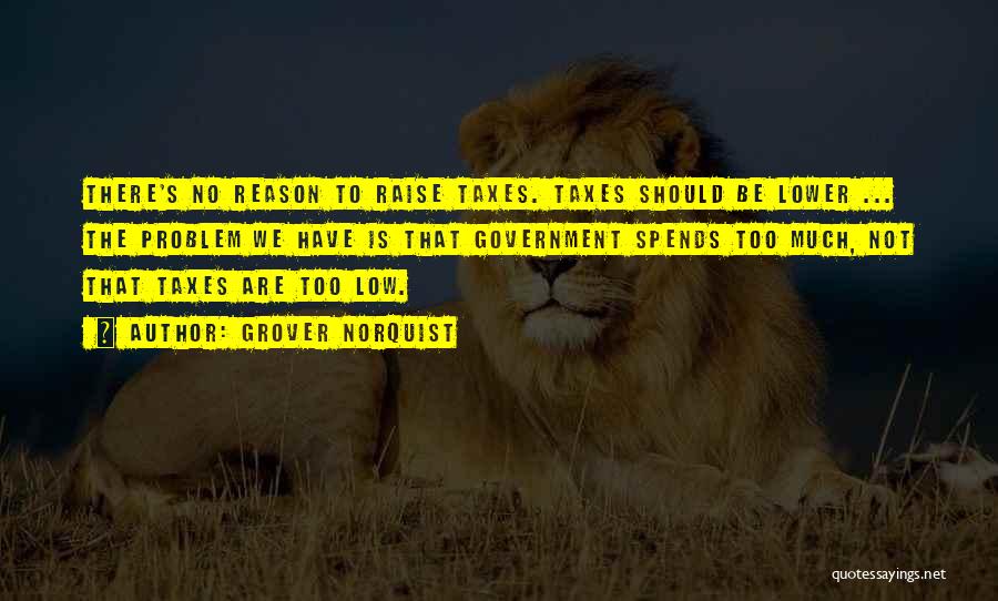 Grover Norquist Quotes: There's No Reason To Raise Taxes. Taxes Should Be Lower ... The Problem We Have Is That Government Spends Too
