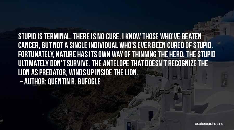 Quentin R. Bufogle Quotes: Stupid Is Terminal. There Is No Cure. I Know Those Who've Beaten Cancer, But Not A Single Individual Who's Ever