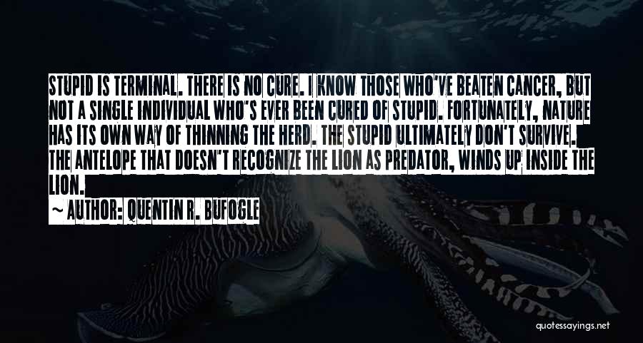 Quentin R. Bufogle Quotes: Stupid Is Terminal. There Is No Cure. I Know Those Who've Beaten Cancer, But Not A Single Individual Who's Ever